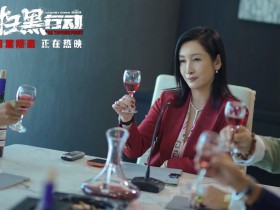 扫黑行动1080p下载更新百度云完整版迅雷下载