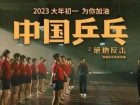 中国乒乓下载在线看高清1080p超清免费网盘资源百度云下载迅雷磁力链接