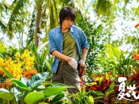 夏花电视剧高清下载百度云高清网盘资源更新在线看迅雷下载