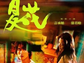 夏花电视剧高清下载在线看百度云完整版网盘资源下载迅雷下载