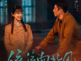 《依依向北风》全集百度网盘迅雷下载,结局:乔正君疯了,俞乐山没拿回公司