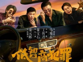 电视剧《低智商犯罪》4k高清百度网盘资源下载,反套路悬疑喜剧的荒诞与现实博弈