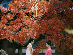 褪去俗套古偶滤镜,电视剧《良陈美锦》写尽乱世人间情与成长百度网盘4k高清资源下载百度云提取码