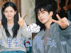 于泥泞扎根,于绝境立骨,电视剧《野狗骨头》全集高清在线看百度网盘下载
