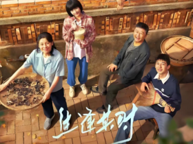 《生逢其时》全集高清下载1080p免费在线看百度网盘下载链接迅雷下载地址